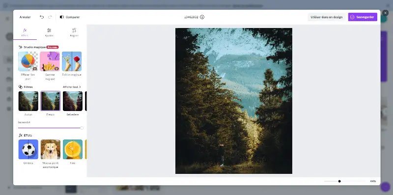 Canva éditeur de photo Canva éditeur de photo